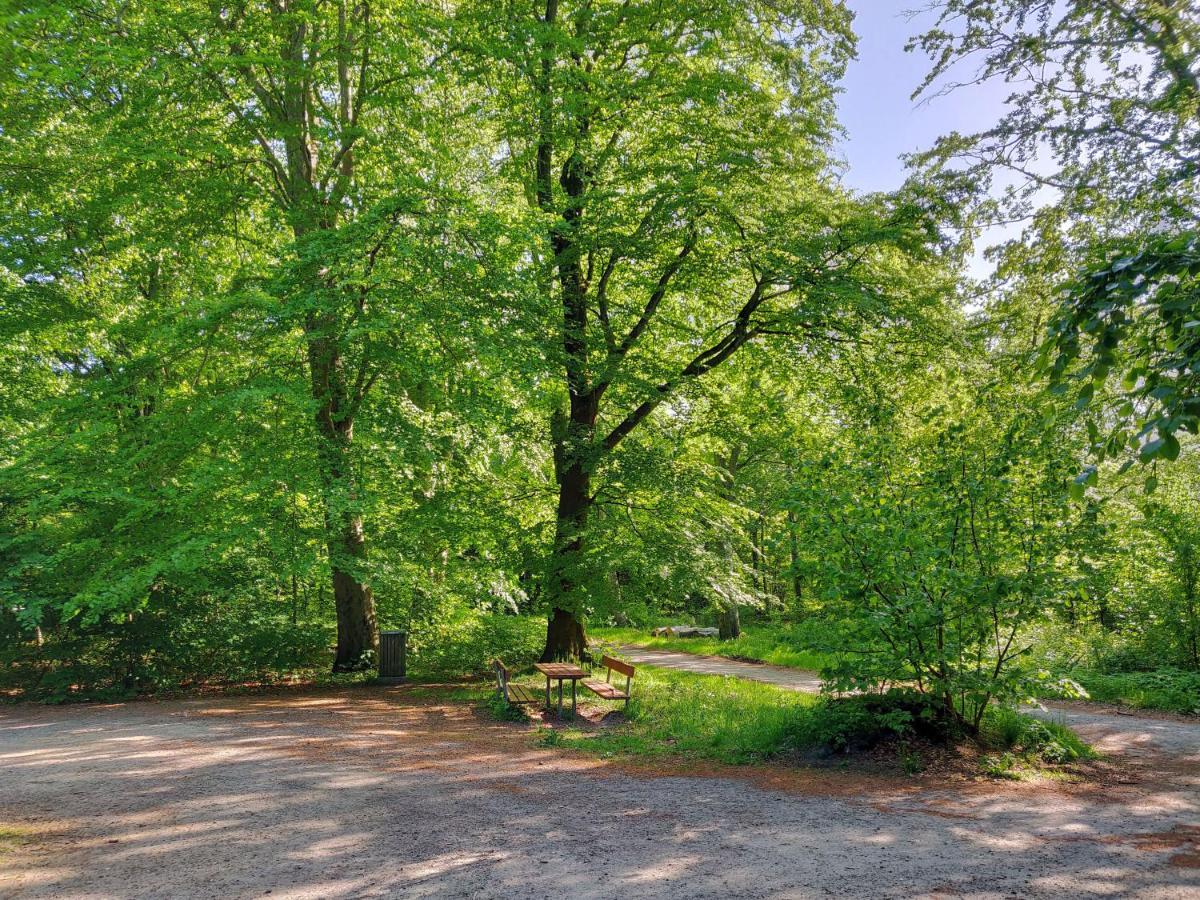 Dronninglund Appartements المظهر الخارجي الصورة